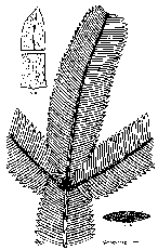 line drawing