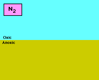 Nitrogen cycle animated gif